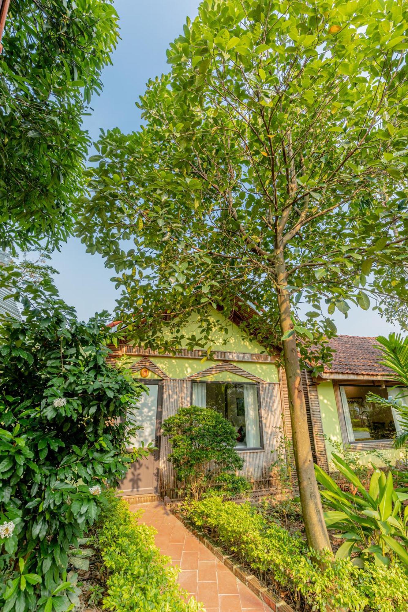 Tam Coc Green Garden Bungalow 닌빈 외부 사진