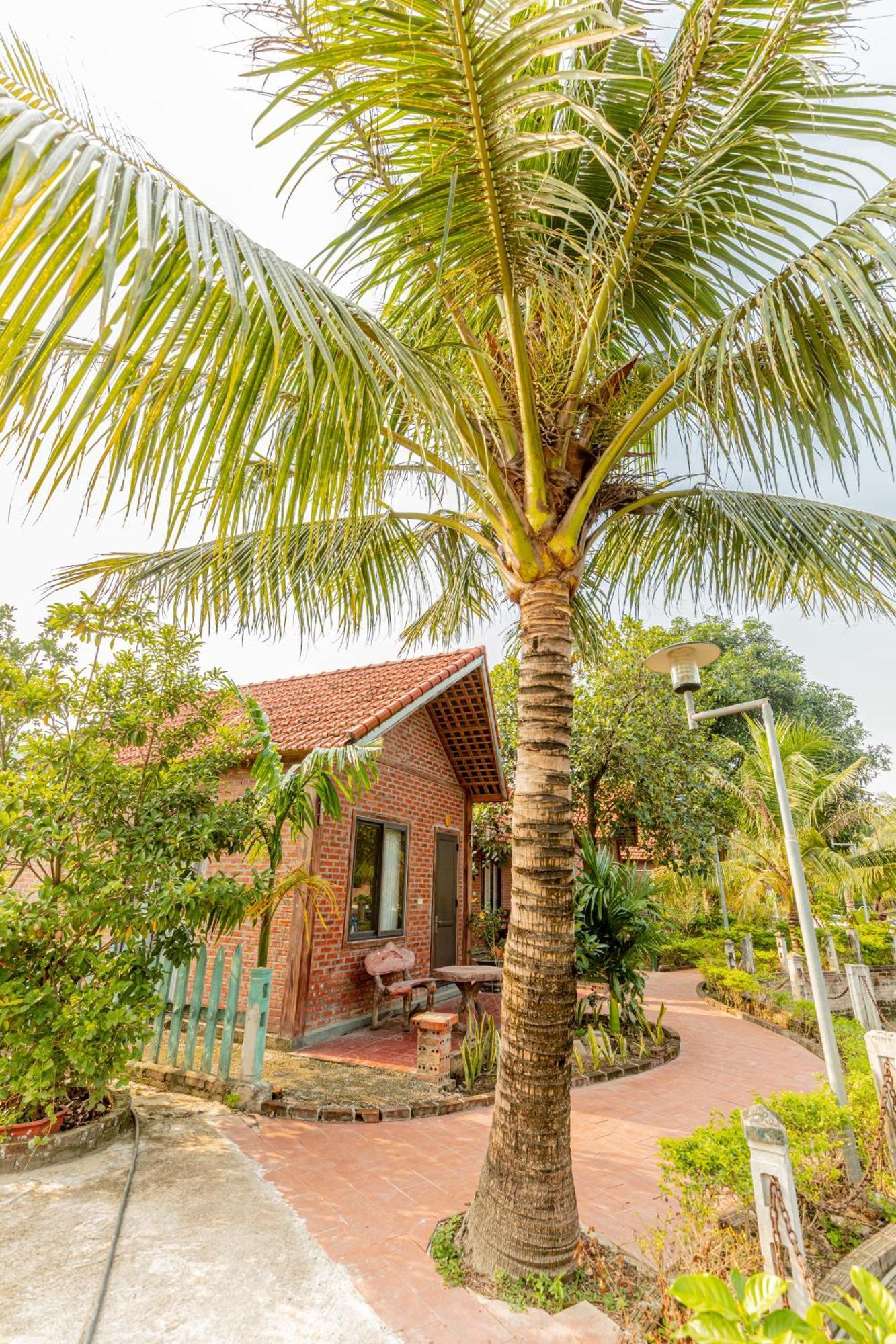 Tam Coc Green Garden Bungalow 닌빈 외부 사진