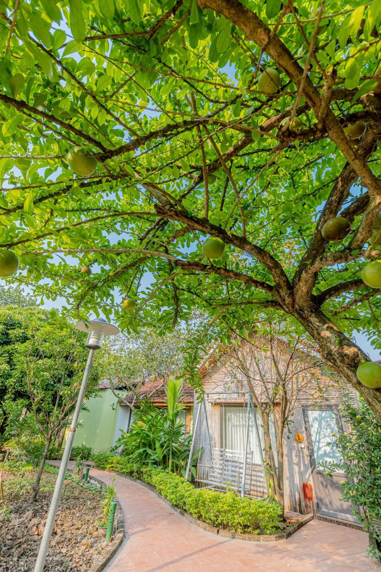 Tam Coc Green Garden Bungalow 닌빈 외부 사진